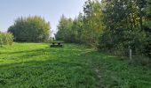 Tour Wandern Heers - Wikiloc Hornebos  (PVDB) - Photo 4