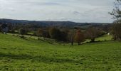 Tour Wandern Pepinster - Randonnée à Pepinster  - Photo 11