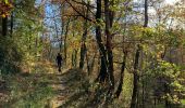 Trail Walking Vresse-sur-Semois - Alle - Orchimont - Photo 8