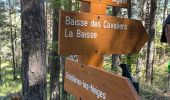 Tour Wandern Coursegoules - Coursegoules <-> Gréolières les Neiges - Photo 10