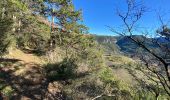 Tour Wandern Soubès - Soubès le cirque du bout du monde - Photo 12