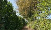 Trail Walking Wezembeek-Oppem - S-GR Dijleland : Tervuren - Sint-Joris-Weert - Photo 13