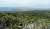 Tour Wandern Saint-Saturnin-lès-Apt - Tour des Aiguiers-St Saturnin des Apt09-05-23 - Photo 5