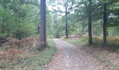 Trail Walking Theux - gervova . chemin du ninglinspo . chifgotte . charmille . gervova - Photo 12