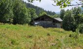 Trail Walking Peisey-Nancroix - Peisey Vallandry Les Charmettes Le Villaret - Photo 7