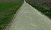 Percorso Marcia Tongeren -  CANI-RANDO TOUR (boucle, Tongres 10km) - Photo 1