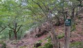 Tour Wandern Ax-les-Thermes - Orgeix _ Ignaux - Photo 3