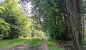 Trail Walking Spa - artistes . nelis . geronster . meyerber . artistes  - Photo 6