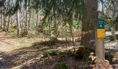 Randonnée Marche Saint-Julien-en-Vercors - Pas des Voutes-Pas de l'Allier depuis St Julien en Vercors - Photo 2