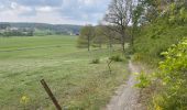 Randonnée Marche Cerfontaine - Czrfontaine et Lac  - Photo 2