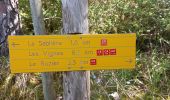 Trail Walking Massegros Causses Gorges - J6: Les Vignes-Mostuéjouls - Photo 8