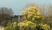 Trail Walking Les Bons Villers - #221021 - Mellet, Champ Chassart et Saint Fiacre - Photo 18