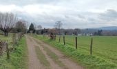 Trail Walking Lontzen - A la découverte des trois frontières  - Photo 6