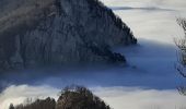 Excursión Senderismo Apremont - pointe de la gorgeat par col granier - Photo 16