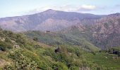 Trail Walking Val-d'Aigoual - 4000 marches retour Aire de Côte - Photo 1