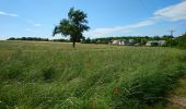 Tour Wandern Saint-Antoine-du-Rocher - Saint-Antoine-du-Rocher - circuit 2 - 9.2km 95m 2h05 - 2019 06 18 - Photo 1