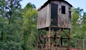 Tour Wandern Gesves - Sentier d’art à Gesves - Photo 4