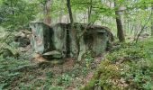 Tocht Stappen Fontainebleau - Fontainebleau Sentier Denecourt 17 - Photo 2