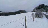 Trail Walking Fauvillers - Sur les traces des chevaliers maudits de Bodange  - Photo 10