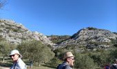 Randonnée Marche Aureille - les Alpilles d aureille - Photo 4