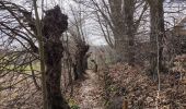 Trail Walking Ittre - Virginal  - Photo 4