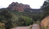 Percorso Mountainbike Théoule-sur-Mer - tour de l'esterel - Photo 2