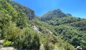 Percorso Marcia La Palud-sur-Verdon - La palud sur Verdon - Photo 8