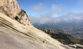 Excursión Senderismo Saint-Agnan-en-Vercors - Tour du Grand Veymont  - Photo 5