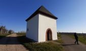 Tour Zu Fuß Groß-Umstadt - Rundwanderweg Klein-Umstadt 1 : Sonnenhof-Weg - Photo 3