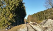 Trail On foot Gomadingen - Zugangsweg - Bärenhöhle Erpfingen Hörschwang Bronnen - Photo 6