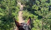 Trail Horseback riding Sallent de Gállego - Gavarnie étape 2 - Photo 2