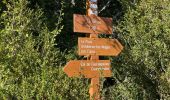 Tour Wandern Coursegoules - Coursegoules <-> Gréolières les Neiges - Photo 6