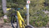 Percorso Mountainbike Sault - Crêtes et forêt d Aurel sur les traces du Trail du Ventoux - Photo 7