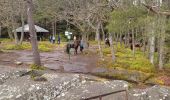 Excursión Paseo ecuestre Mollkirch - suuntoapp-HorsebackRiding-2024-04-28T06-24-49Z - Photo 4