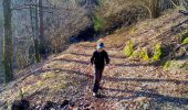 Trail Walking Oderen - Trek alsacien (2ème boucle, Odin) - Photo 16