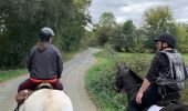 Tocht Paardrijden Aubigny-Les Clouzeaux - Boucle Ste Flaive  - Photo 1