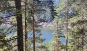 Trail Walking Orbey - lac blanc, gazon du faing, lac noir, rocher Hans, lac blanc  - Photo 6