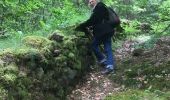 Trail Walking Hultehouse - 2020-06-11 Wasserwald et sentier des bornes - Photo 8
