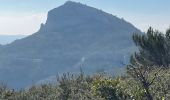 Tocht Stappen Aubagne - le tour de garlaban Martine - Photo 17