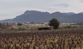 Percorso Marcia Les Arcs-sur-Argens - LES ARCS - DE SAINTE ROSELINE A VALBOURGES - Photo 8