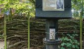 Tour Zu Fuß Waren (Müritz) - gelber Schmetterling - Photo 2