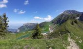 Trail Walking Le Grand-Bornand - BARGY: LE CHINAILLON - LAC DE LESSY - Photo 1