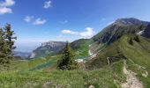 Randonnée Marche Le Grand-Bornand - BARGY: LE CHINAILLON - LAC DE LESSY - Photo 1