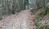Trail Walking Pollionnay - Pollionay- Saint Bel - Lentilly  - Photo 11