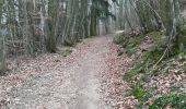 Excursión Senderismo Pollionnay - Pollionay- Saint Bel - Lentilly  - Photo 11