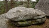 Percorso A piedi Fontainebleau - Sentier Denecourt-Colinet 7 - Photo 10