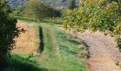 Tocht Stappen Les Martres-de-Veyre - PUY DE CORENT - Photo 12