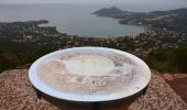 Tour Wandern Saint-Raphaël - Agay - Rastel d'Agay - Drapeau - Pic du Cap Roux - Photo 2