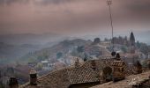 Percorso A piedi Barolo - Sentieri Langa Barolo - Photo 2