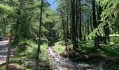 Trail Walking Ceillac - De Chaurionde au lac Saint Anne - Photo 7